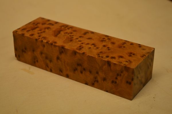 Thuja Burl