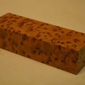 Thuja Burl